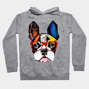 Pug Colorful Hoodie